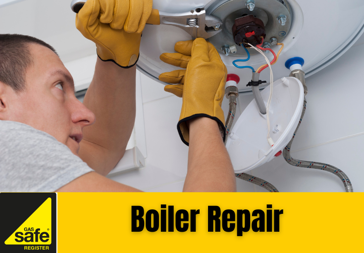boiler repair Swanley